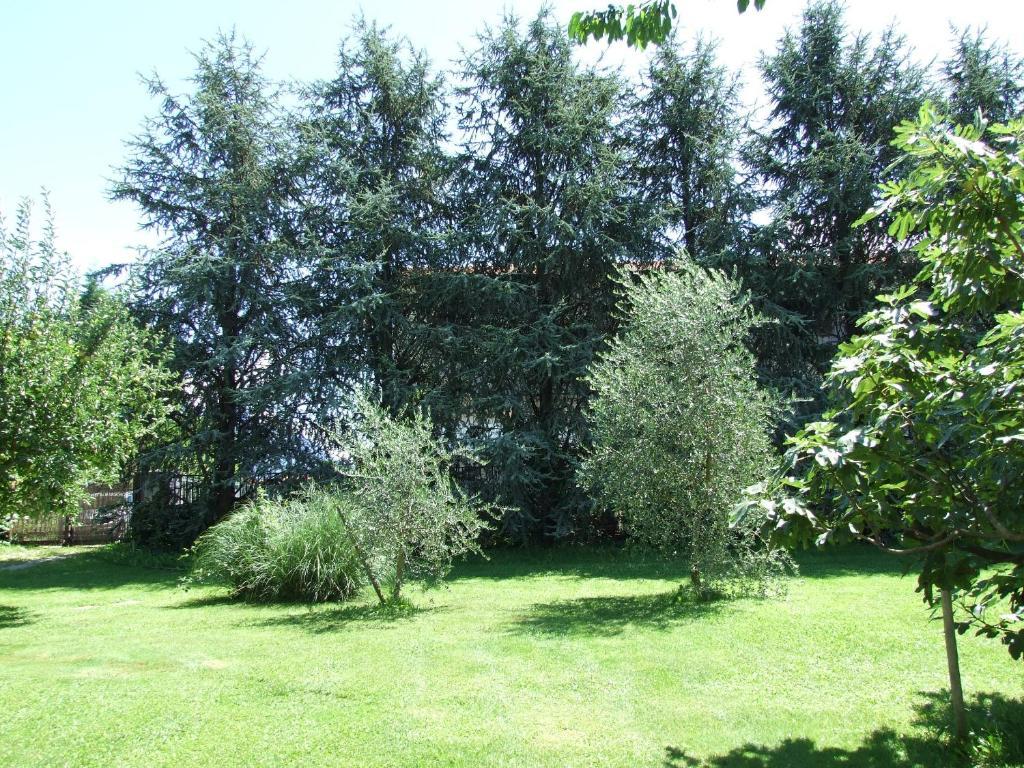 Agriturismo Cà Del Lago Gravedona Exterior foto