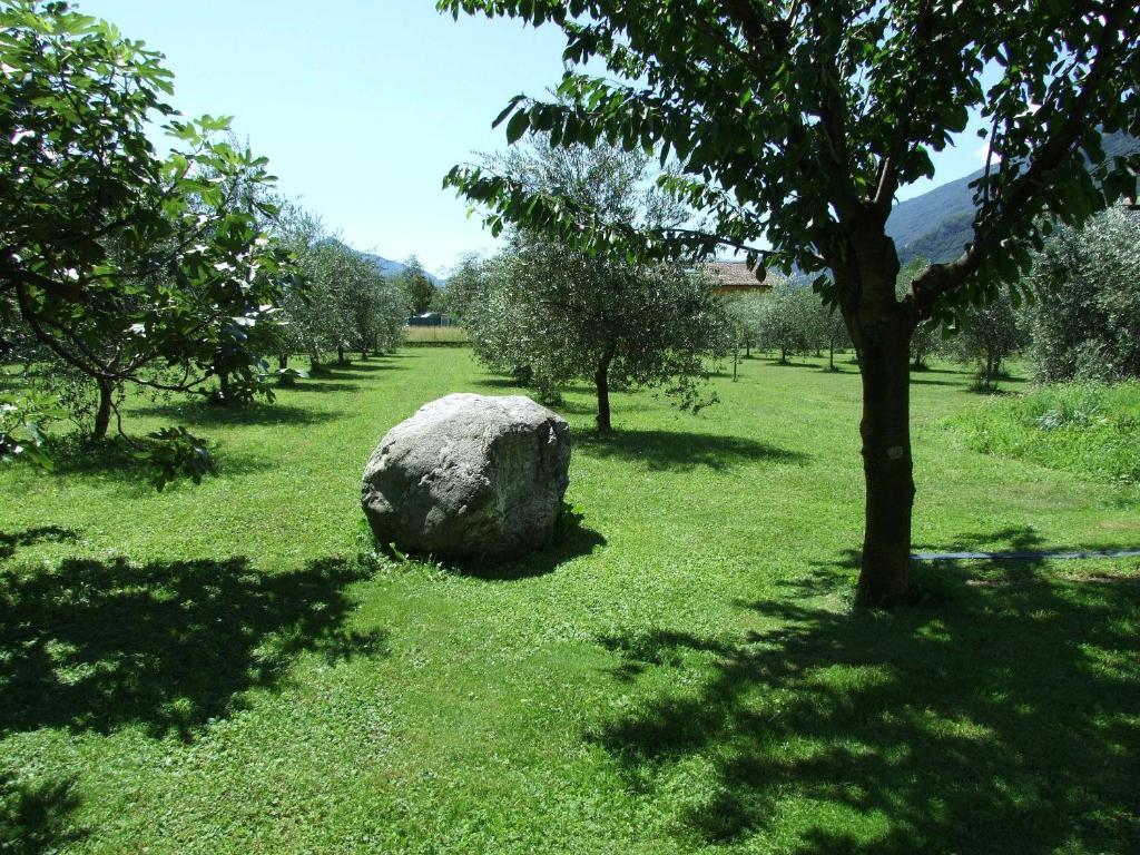 Agriturismo Cà Del Lago Gravedona Exterior foto