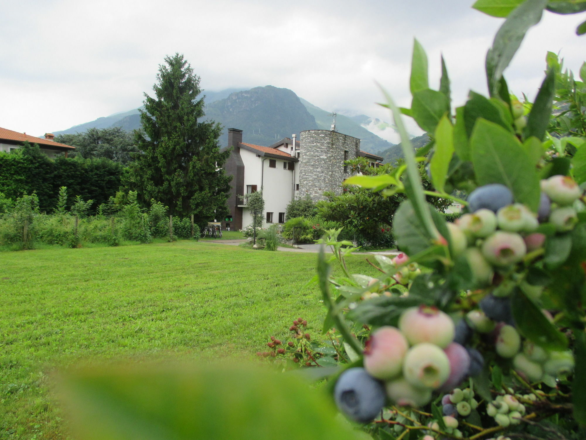 Agriturismo Cà Del Lago Gravedona Exterior foto